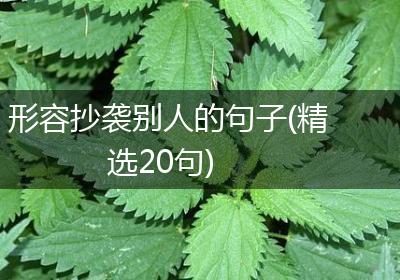 形容抄袭别人的句子(精选20句)