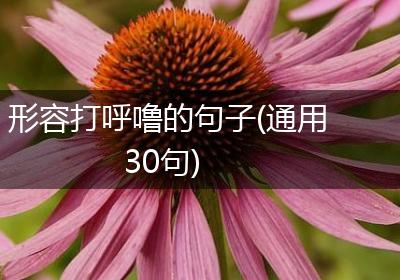形容打呼噜的句子(通用30句)