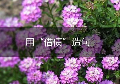 用“借债”造句