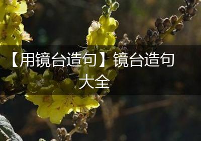 【用镜台造句】镜台造句大全