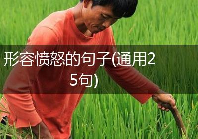 形容愤怒的句子(通用25句)