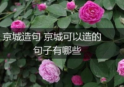 京城造句 京城可以造的句子有哪些