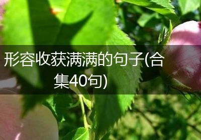 形容收获满满的句子(合集40句)