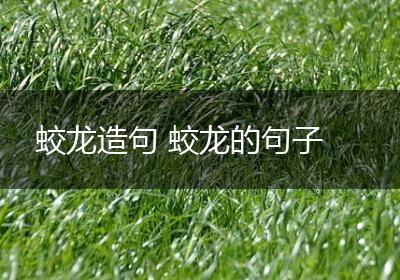 蛟龙造句 蛟龙的句子