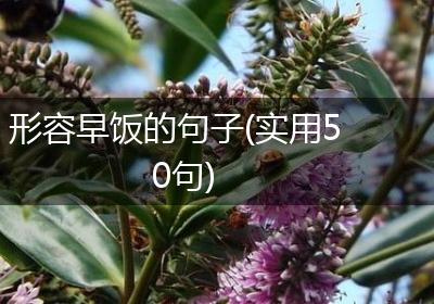 形容早饭的句子(实用50句)