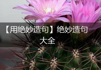 【用绝妙造句】绝妙造句大全