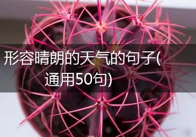 形容晴朗的天气的句子(通用50句)