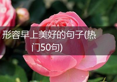 形容早上美好的句子(热门50句)