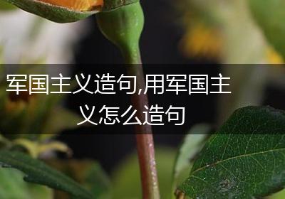 军国主义造句,用军国主义怎么造句