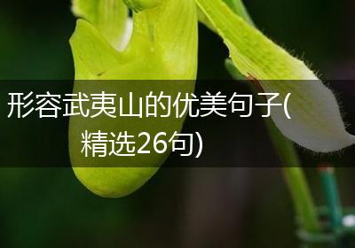 形容武夷山的优美句子(精选26句)
