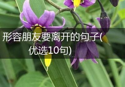 形容朋友要离开的句子(优选10句)