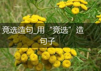 竞选造句_用“竞选”造句子