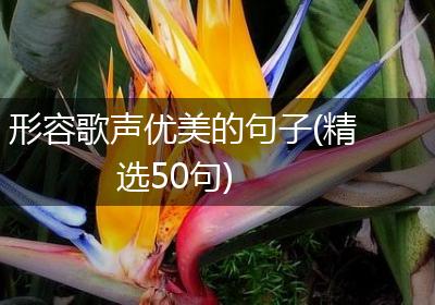 形容歌声优美的句子(精选50句)