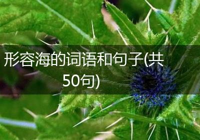 形容海的词语和句子(共50句)