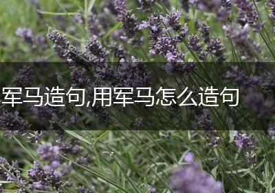 军马造句,用军马怎么造句