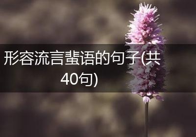 形容流言蜚语的句子(共40句)
