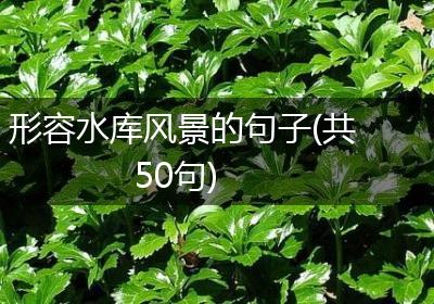形容水库风景的句子(共50句)