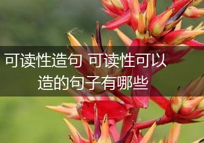 可读性造句 可读性可以造的句子有哪些
