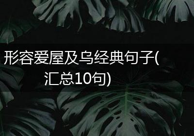 形容爱屋及乌经典句子(汇总10句)