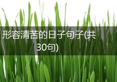 形容清苦的日子句子(共30句)