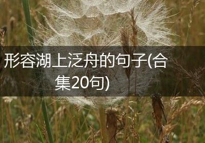 形容湖上泛舟的句子(合集20句)