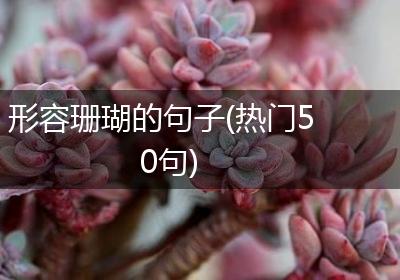 形容珊瑚的句子(热门50句)