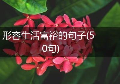 形容生活富裕的句子(50句)