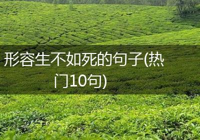形容生不如死的句子(热门10句)