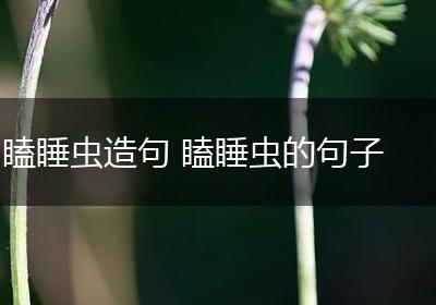 瞌睡虫造句 瞌睡虫的句子
