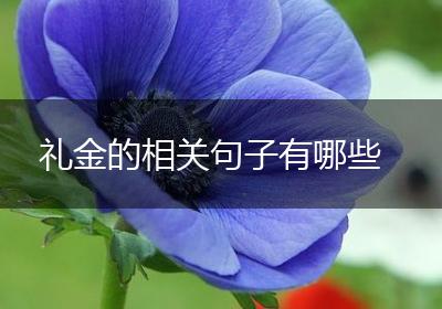 礼金的相关句子有哪些