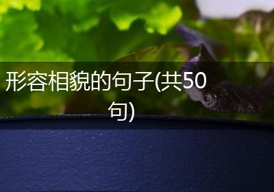 形容相貌的句子(共50句)