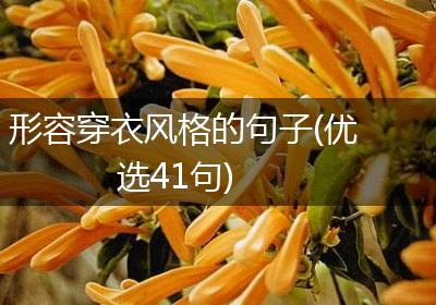 形容穿衣风格的句子(优选41句)