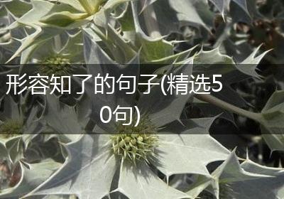 形容知了的句子(精选50句)