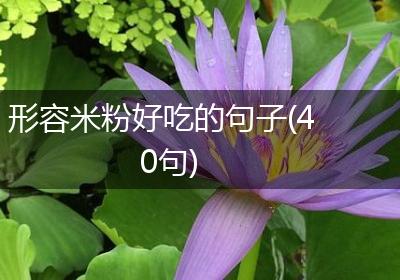 形容米粉好吃的句子(40句)