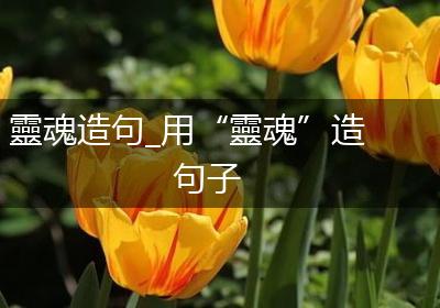靈魂造句_用“靈魂”造句子