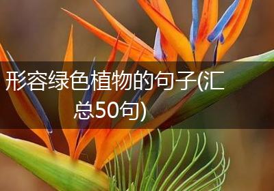 形容绿色植物的句子(汇总50句)