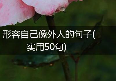 形容自己像外人的句子(实用50句)