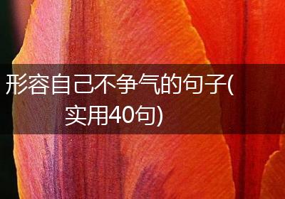 形容自己不争气的句子(实用40句)