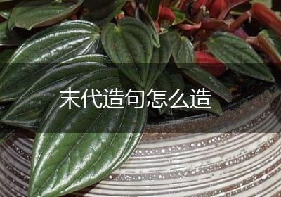 末代造句怎么造