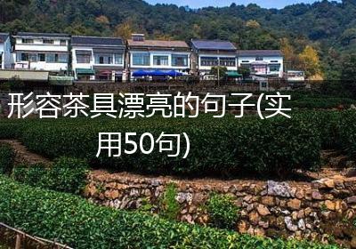 形容茶具漂亮的句子(实用50句)