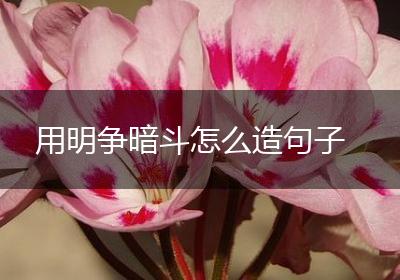 用明争暗斗怎么造句子