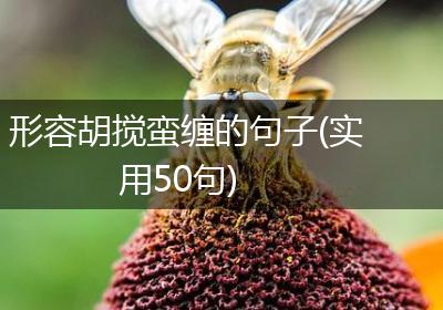 形容胡搅蛮缠的句子(实用50句)