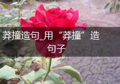 莽撞造句_用“莽撞”造句子
