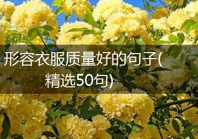 形容衣服质量好的句子(精选50句)
