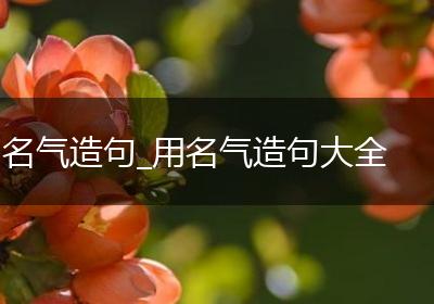 名气造句_用名气造句大全
