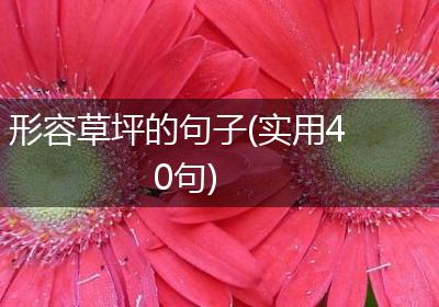 形容草坪的句子(实用40句)