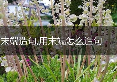 末端造句,用末端怎么造句