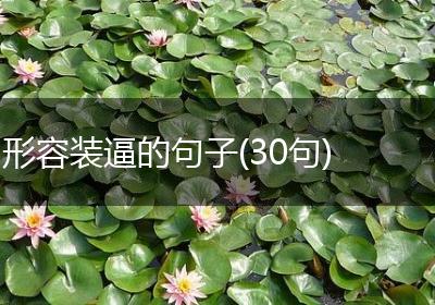 形容装逼的句子(30句)