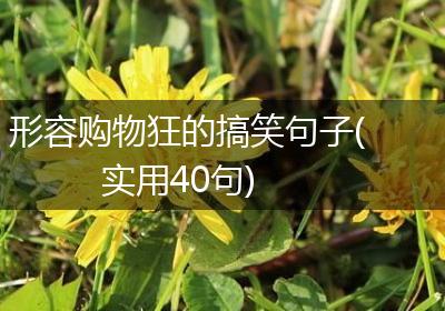 形容购物狂的搞笑句子(实用40句)