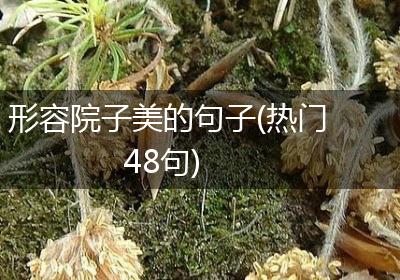 形容院子美的句子(热门48句)